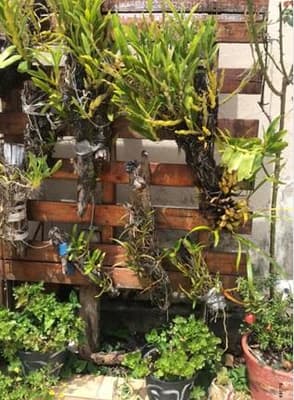 Foto 5 de 10: Casa em leilão em Itapira - SP — Casa Residencial em Itapira-SP