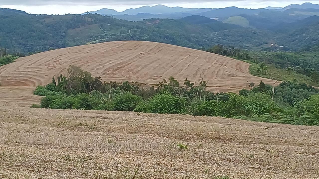 Foto 1 de 2: Area Rural em leilão em Campo Magro - PR, bairro Campo Magro — DIREITOS POSSESSÓRIOS SOBRE O IMÓVEL RURAL DENOMINADO CHÁCARA DO CAMPO, LOCALIZADO EM TERRA BOA CAMPO MAGRO/PR.