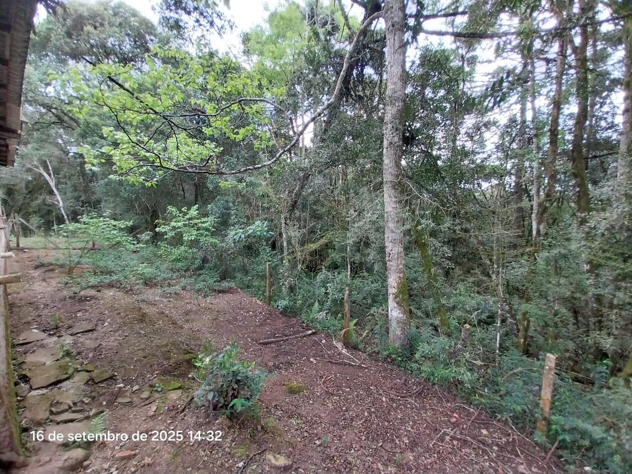 Foto 15 de 31: Area Rural em leilão em Campina Grande Do Sul - PR — Direitos de Posse sobre Chácara de 9,68 Hectares - Campina Grande do Sul/PR