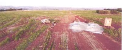 Foto 3 de 7: Area Rural em leilão em Bandeirantes - MS — IMÓVEL RURAL | A.T. 187,0323HA FAZ. VÓ BINA E ALIANÇA | BANDEIRANTES/MS