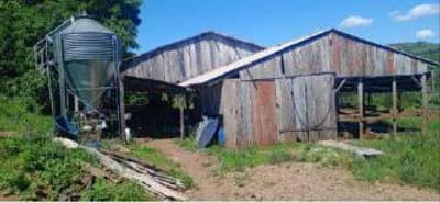 Foto 11 de 11: Terreno em leilão em Pinheirinho Do Vale - RS — Imóvel rural com área total de 10,80 hectares - Pinheirinho do Vale/RS.