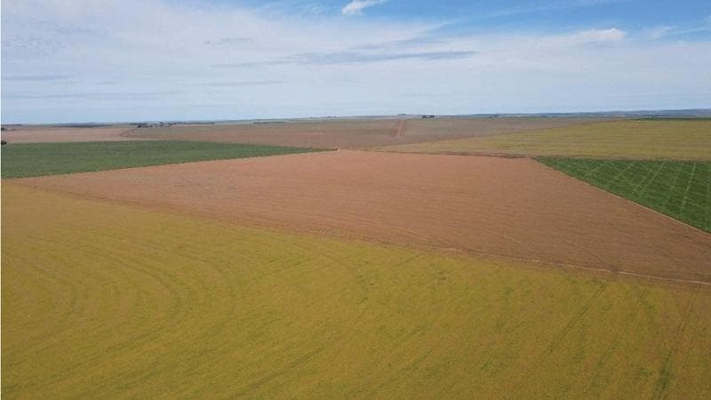 Foto 14 de 30: Area Rural em leilão em Paraíso Das Águas - MS — IMÓVEL RURAL | 400 HA (FRAÇÃO IDEAL) - FAZ. LOTE BAÚS PERDIDO I SECÇÃO B | PLANTIO PARA SOJA E MILHO | PARAÍSO DAS ÁGUAS/MS