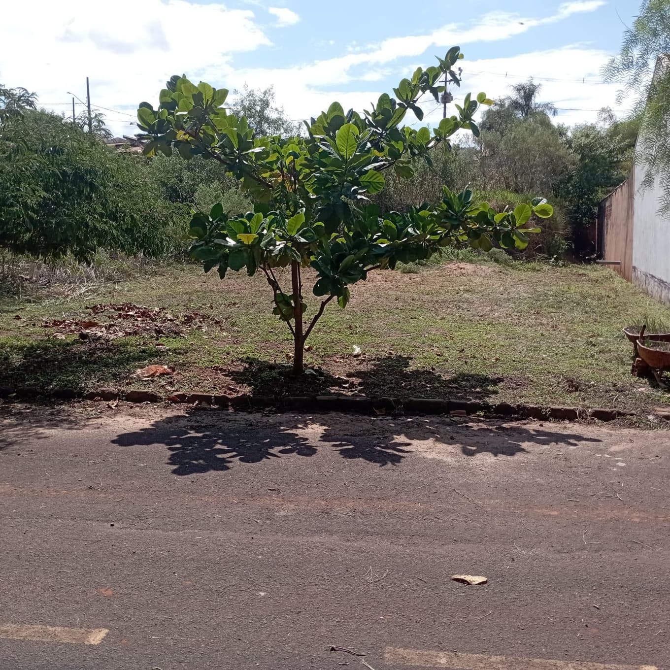 Terreno em leilão em Terra Roxa - PR, bairro Residencial Elisa — Terreno Urbano Com Área Total 315,39 M² em Terra Roxa/PR