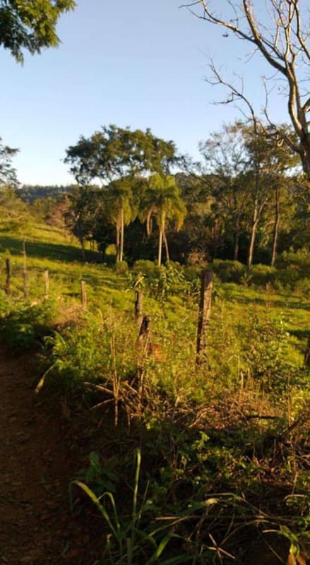 Foto 4 de 6: Area Rural em leilão em Quedas Do Iguaçu - PR — Imóvel rural com área de 29,3293HA, Quedas do Iguaçu/PR