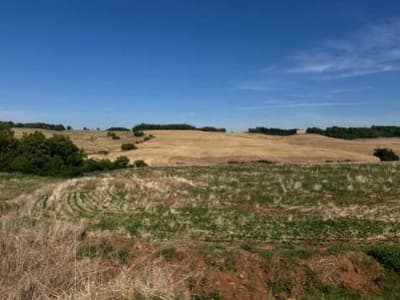 Area Rural em leilão em São José Das Missões - RS — IMÓVEL RURAL COM ÁREA ÚTIL 33.117,00m² EM SÃO JOSÉ DAS MISSÕES-RS