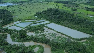Foto 4 de 7: Area Rural em leilão em Alta Floresta D'oeste - RO — IMÓVEL RURAL COM 11,6614HA, SETOR PARECIS EM ALTA FLORESTA D'OESTE/RO.
