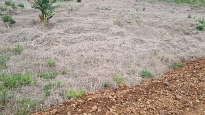 Foto 1 de 5: Terreno em leilão em Saudades - SC — LOTE URBANO Nº 03, DA QUADRA Nº 122, LOCALIZADO EM SAUDADES/SC ÁREA DE 360M²