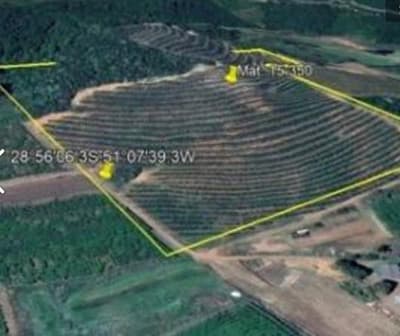 Foto 2 de 6: Area Rural em leilão em São Marcos - RS, bairro Interior — IMÓVEL RURAL COM ÁREA DE 62.250,00 M2 LINHA RIACHUELO EM SÃO MARCOS -RS