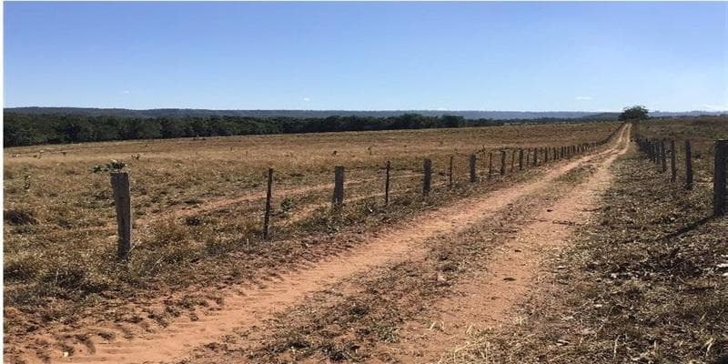 Foto 4 de 11: Area Rural em leilão em Poxoréu - MT — IMÓVEL RURAL | 54,00 HA PECUÁRIA | ESTÂNCIA 2 IRMÃOS, POXORÉU/MT