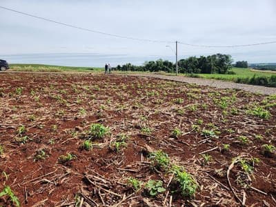 Foto 6 de 7: Terreno em leilão em Vista Gaúcha - RS, bairro Centro — LOTE URBANO Nº 17 DA QUADRA 48, COM A ÁREA SUPERFICIAL DE 511,68M² SITUADO NA CIDADE DE VISTA GAÚCHA/RS