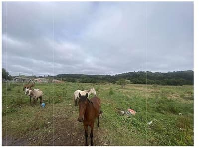Foto 4 de 8: Terreno em leilão em Piraí Do Sul - PR, bairro Baixada — Terreno urbano com área de 9.377,50m², sem benfeitorias , localizado na Rua Jordão Spiller, 110, Bairro Baixada, Piraí do Sul/PR.