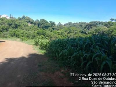 Foto 4 de 7: Imóvel em leilão em São Bernardino - SC, bairro Vila Scheid — IMÓVEL URBANO COM ÁREA DE 1.000,00 M2 EM SÃO BERNARDINO-SC