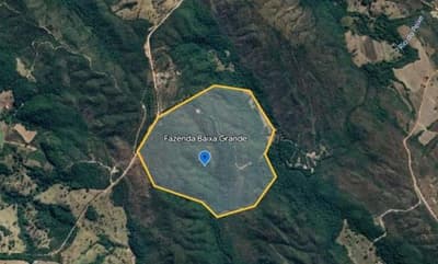 Area Rural em leilão em Vianópolis - GO — IMÓVEL RURAL COM ÁREA TOTAL DE 73,4496 hectares. EM VIANÓPOLIS-GO, AVALIADO EM R$ 3.030.921,95