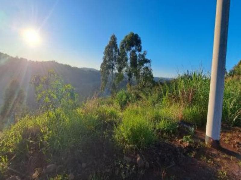 Foto 8 de 9: Terreno em leilão em Cordilheira Alta - SC, bairro Interior — Lote, 330.31 m2, Cordilheira Alta / SC