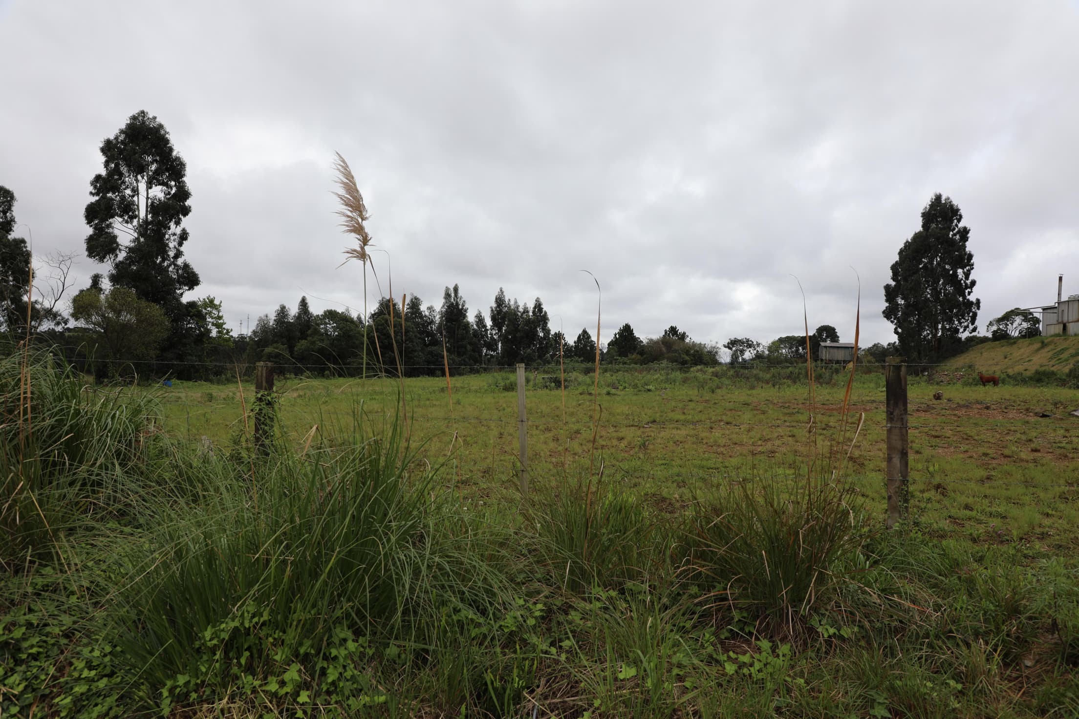Foto 6 de 17: Terreno em leilão em Curitibanos - SC — IMÓVEL LOCALIZADO NA RUA ROMUALDO SCUR, ÁREA INDUSTRIAL RENATO FARIAS, MUNICÍPIO DE CURITIBANOS-SC COM A ÁREA DE 10.043,92M²