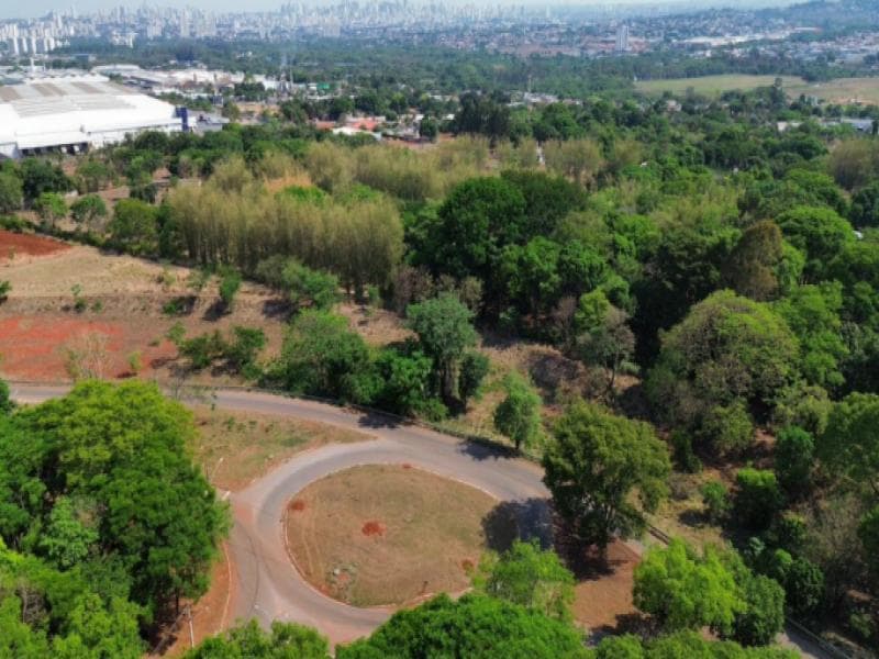 Foto 2 de 3: Area Rural em leilão em Goiânia - GO — Area, 42350.0 m2, Goiânia / GO