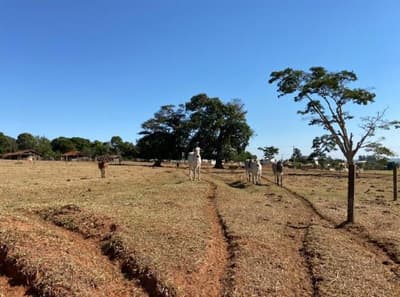Foto 1 de 6: Area Rural em leilão em Martinópolis - SP — Imóvel rural com 9,68 ha.