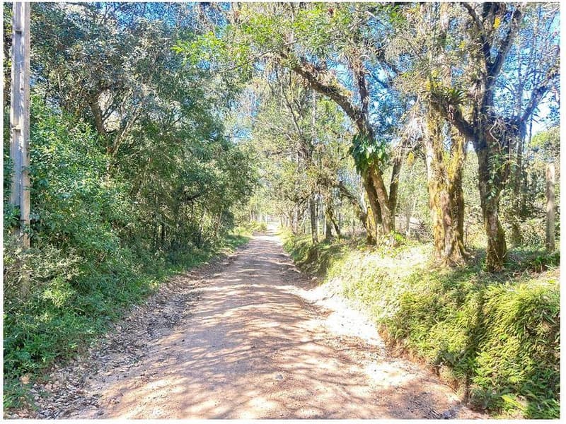 Foto 28 de 35: Area Rural em leilão em São José Dos Pinhais - PR — Sitio com área total de 120.974,16m², localizado Borda do Campo em São José dos Pinhais/PR