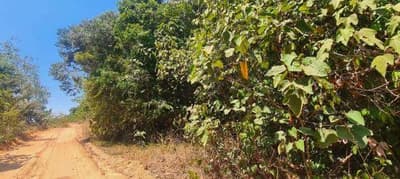 Foto 2 de 4: Area Rural em leilão em Juara - MT — Fazenda 2.481,6665ha | Zona Rural de Juara-MT