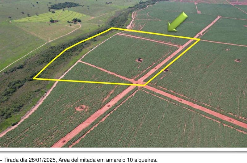 Foto 6 de 10: Area Rural em leilão em Dracena - SP — 10 alqueires de Imóvel Rural com 158,0309 ha