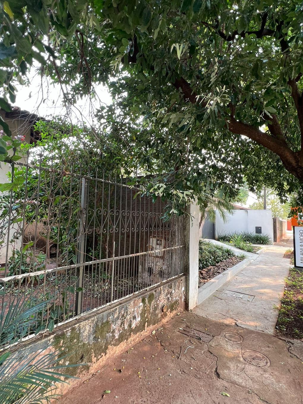 Foto 5 de 13: Terreno em leilão em Cianorte - PR, bairro Zona 02 — Terras com uma área total de 612,50m², contendo benfeitoria, Cianorte/PR