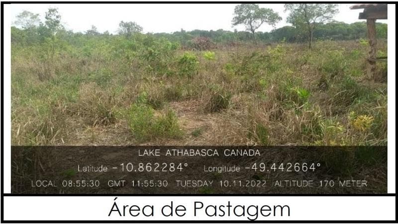 Foto 2 de 4: Area Rural em leilão em Santa Rita Do Tocantins - TO — IMÓVEL RURAL | 48.3351 HA - PECUÁRIA | SANTA RITA DO TOCANTINS/TO