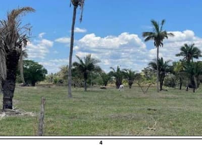 Foto 8 de 11: Area Rural em leilão em Barão De Melgaço - MT — Fazenda Baia São Benedito, área de 10.000 hectares, sem benfeitorias, Barão de Melgaço/MT