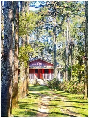 Foto 4 de 35: Area Rural em leilão em São José Dos Pinhais - PR — Sitio com área total de 120.974,16m², localizado Borda do Campo em São José dos Pinhais/PR