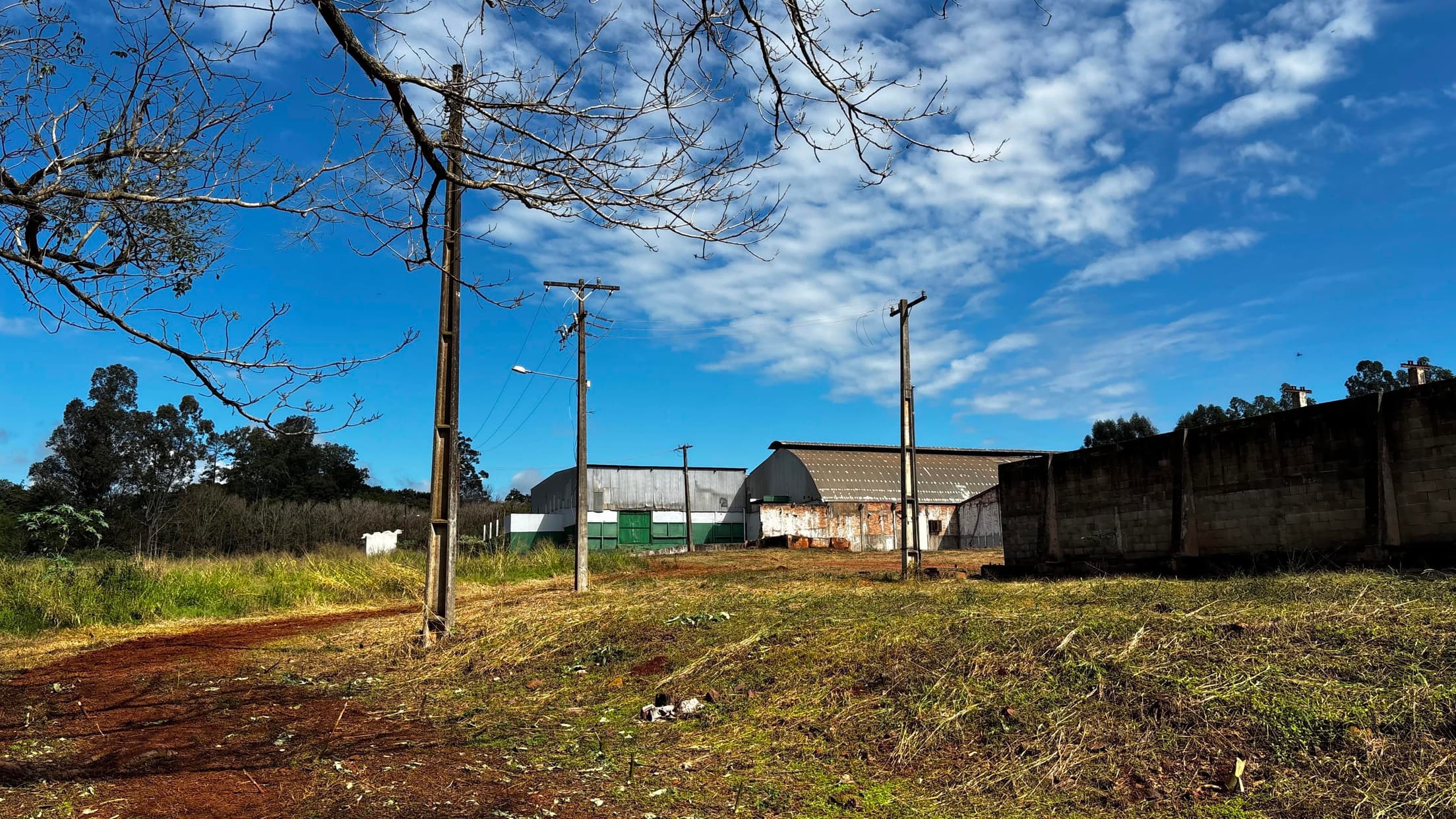 Foto 7 de 17: Area Rural em leilão em Toledo - PR — IMÓVEL CHACARA N°37-A E 37-B COM AREA DE 84.360 m² - TOLEDO/PR