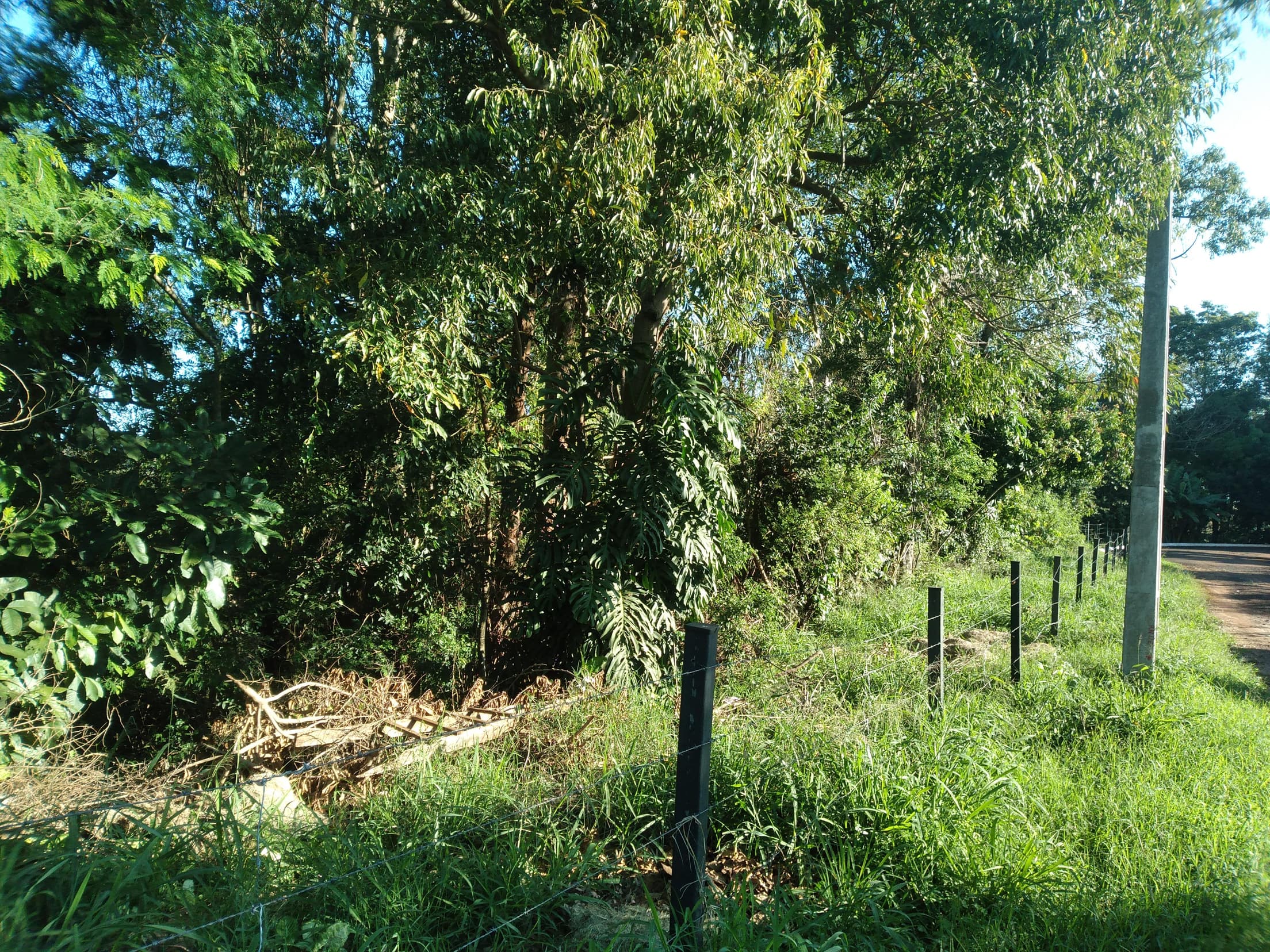 Foto 33 de 41: Area Rural em leilão em Capitão Leônidas Marques - PR — Gleba Urbana Desocupada 27.837m2 no Bairro São Gabriel em Capitão Leonidas Marques/PR