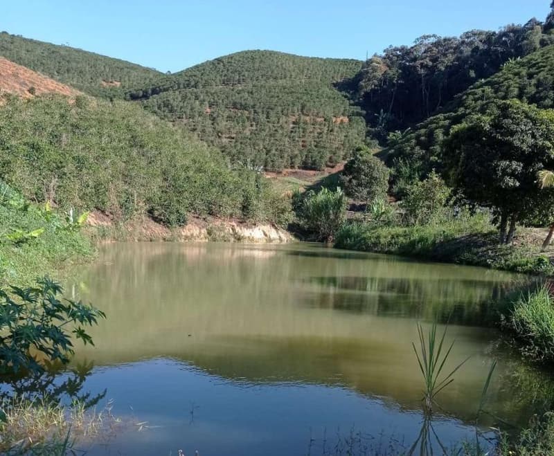Foto 26 de 49: Area Rural em leilão em Caiana - MG — IMÓVEL RURAL COM ÁREA TOTAL DE 16,99,68 hectares- Em CAIANA/MG