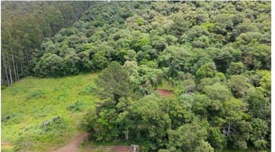 Foto 4 de 8: Area Rural em leilão em Francisco Beltrão - PR — Terreno rural com área de 30.000,00m², Localizado na Linha Água Vermelha, Zona Rural do Município de Francisco Beltrão-PR. Sem benfeitorias.