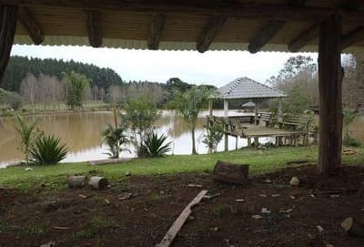 Foto 5 de 10: Area Rural em leilão em Francisco Beltrão - PR — Fração de 33,974% do imóvel rural com área total de 367.800,00m², com benfeitorias. Situado no Município de Enéas Marques/PR.