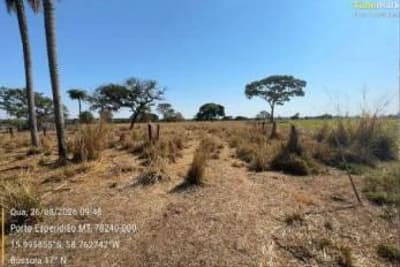 Foto 4 de 9: Area Rural em leilão em Porto Esperidião - MT — IMÓVEL RURAL | A.T 36,323HA | SÍTIO SÃO DOMINGOS | PORTO ESPERIDIÃO/MT