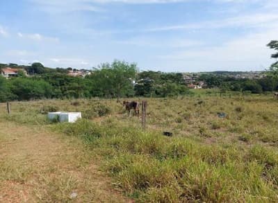 Foto 4 de 4: Terreno em leilão em Presidente Bernardes - SP, bairro Loteamento Vila Carvalho — Oportunidade: - 50% do valor de avaliação!! Terreno Urbano 5.362m² em Presidente Bernardes/SP