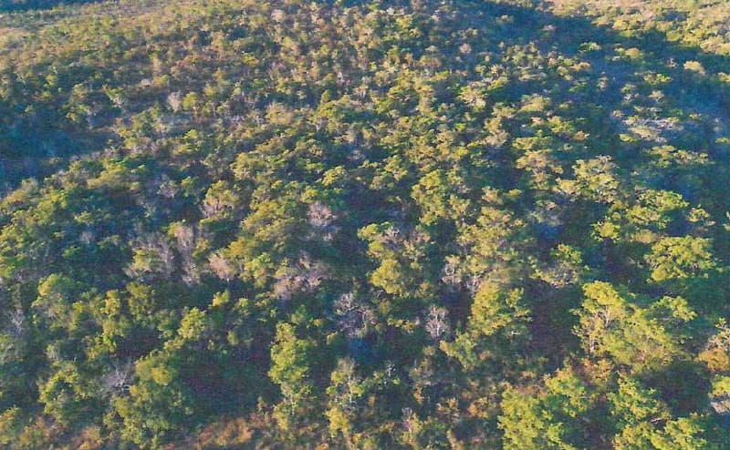 Area Rural em leilão em Serranópolis - GO — IMÓVEL RURAL - A.T 38,72 HA - SERRANÓPOLIS/GO