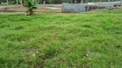Foto 6 de 6: Terreno em leilão em Saudades - SC — LOTE URBANO Nº 02, DA QUADRA Nº 121, LOCALIZADO EM SAUDADES/SC ÁREA DE 436,95M²