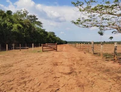 Foto 1 de 13: Area Rural em leilão em Porto Dos Gaúchos - MT — Imóvel Rural com área de 53 hectares - Porto dos Gaúchos/MT