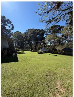 Foto 9 de 35: Area Rural em leilão em São José Dos Pinhais - PR — Sitio com área total de 120.974,16m², localizado Borda do Campo em São José dos Pinhais/PR