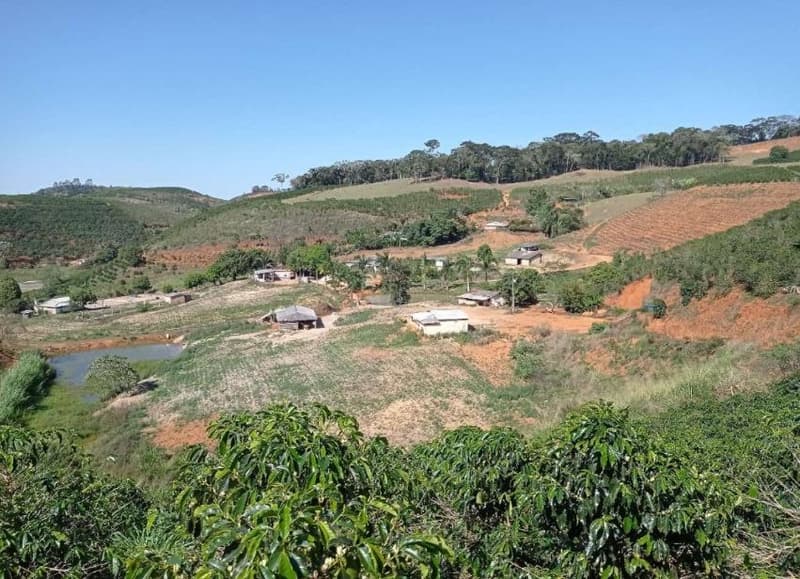 Foto 41 de 49: Area Rural em leilão em Caiana - MG — IMÓVEL RURAL COM ÁREA TOTAL DE 16,99,68 hectares- Em CAIANA/MG