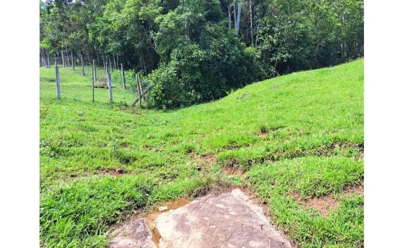 Foto 5 de 27: Terreno em leilão em Blumenau - SC — Imóvel urbano com área total de 35.820,27 m² em Blumenau/SC