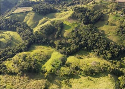 Foto 2 de 4: Area Rural em leilão em Pitanga - PR — IMÓVEL RURAL COM ÁREA TOTAL DE 80.670 m2- Em PITANGA/PR