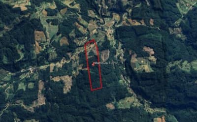 Foto 14 de 16: Terreno em leilão em Apiúna - SC, bairro São Jorge — IMÓVEL RURAL COM ÁREA TOTAL DE 21,291 ha- Em APIÚNA/SC