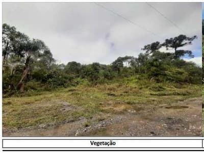 Foto 12 de 13: Area Rural em leilão em Campina Grande Do Sul - PR — Terras rurais, com área de 845,9 hectares, localizada no Município de Campjna Grande do Sul/PR.