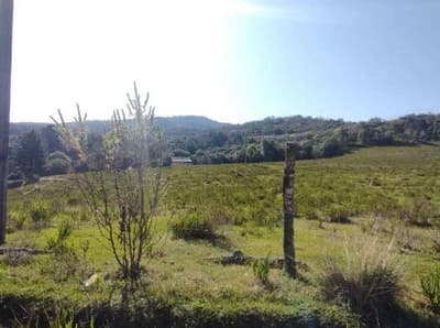 Area Rural em leilão em Campo Largo - PR — Área rural, situada no lugar denominado Felpudo, em Campo Largo/PR - Massa Falida de Sinoda Construções