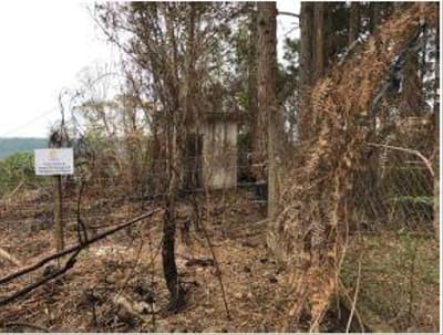 Foto 4 de 6: Terreno em leilão em Taió - SC — TERRENO RURAL com área total de 675,00 m²