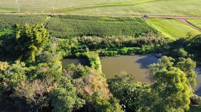 Foto 10 de 11: Area Rural em leilão em Nova Prata Do Iguaçu - PR — LOTE RURAL - SALTO DO LONTRA/PR
