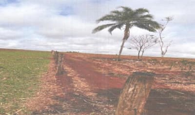 Foto 1 de 4: Area Rural em leilão em Quirinópolis - GO — IMÓVEL RURAL | A.T. 37,41 HA | QUIRINÓPOLIS/GO