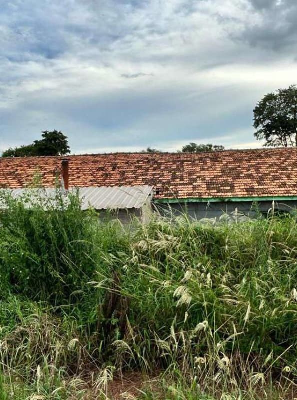 Foto 32 de 40: Area Rural em leilão em Marechal Cândido Rondon - PR — Parte ideal de 55.265,69 m² do Lote Rural 05/A do 19º Perímetro da Fazenda Britânia, situado neste município e comarca de Marechal Candido Rondon/PR