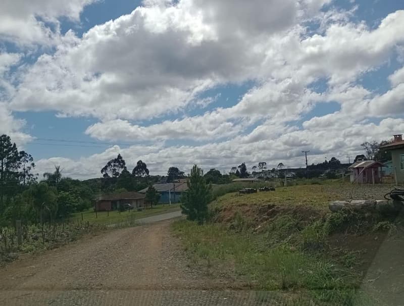 Foto 7 de 11: Area Rural em leilão em Timbó Grande - SC, bairro Interior — IMÓVEL RURAL COM ÁREA TOTAL DE 8,8804 hectares EM TIMBÓ GRANDE-SC